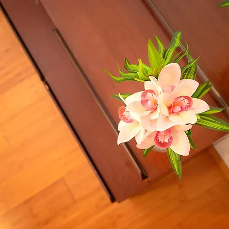 Lejlighed T&t - Zf Hvar *