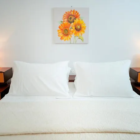 T&t - Zf Hvar Appartement